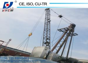 Quality 100% Brand New Mini Crane Roof Hoist Tower Crane 6ton Derrick Crane WD60(2420) wholesale