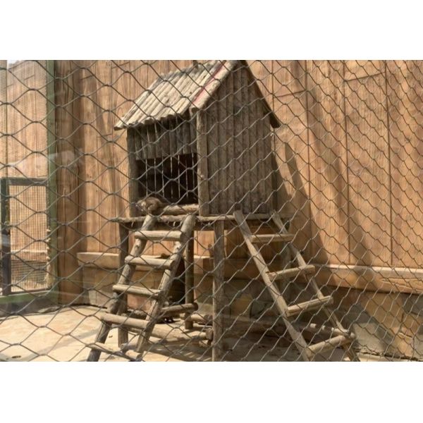 2.5mm SS 316 Wire Rope Mesh For Zoo Enclosures 15m X 5m