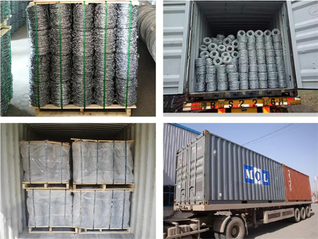 Us Standard Galvanized Barbed Wire 4 Points 5" Spacing Class 1
