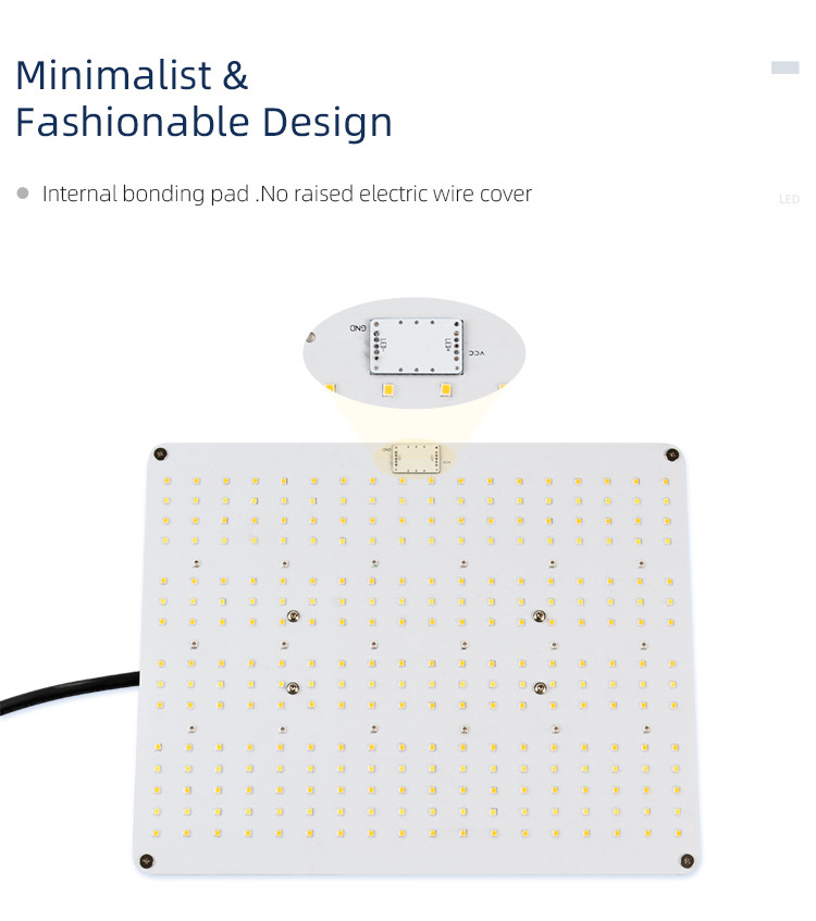 SMD 5730 730nm Quantum Led Grow Lights For Fruit