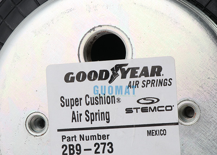 W01-M58-6183 Firestone Air Springs 2B9-273 Goodyear Bellows Number 578923206 Metric M8 Nuts