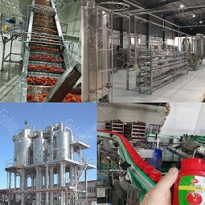 China 10T/H Tomato Paste Processing Line SUS 304 Pulping Refining on sale