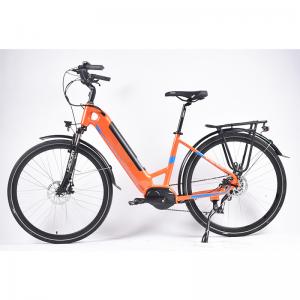 Quality 6 Speed Mid Drive Step Through Electric Mountain Bike 750W 150G Aluminum Frame wholesale