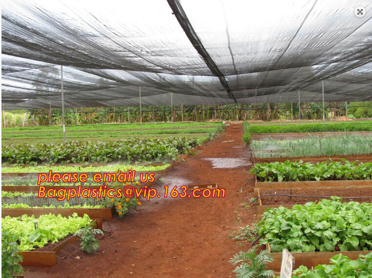 Green Construction Building Scaffolding Safety Net /Safety Mesh Netting,construction scaffold net/scaffolding net/scaffo
