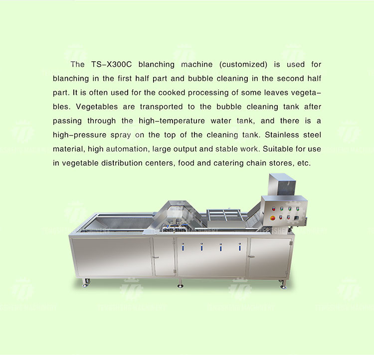 Multifunctional Fruit Washing Machine 3.8KW Vegetable Blanching Equipment