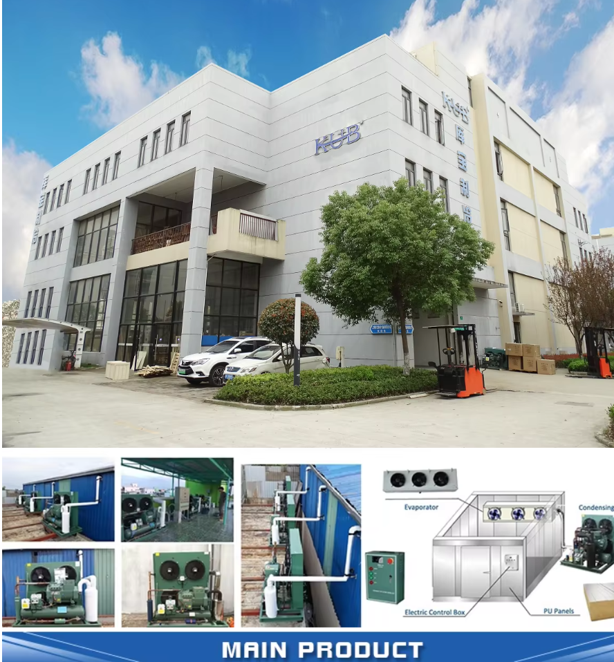 TAG2522ZBR Commercial 6HP Refrigeration Unit Air Cooled R404 Refrigerant Cold Storage Condensing Units