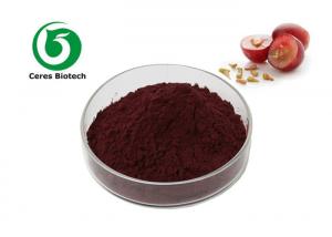 China Pure Natural Grape Seed Extract Proanthocyanidins 95% Medical / Food Grade on sale
