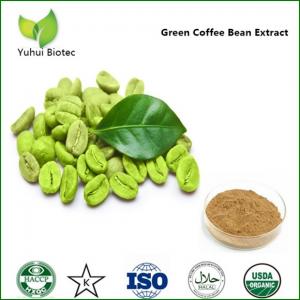 China green coffee extract capsules,kosher green coffee bean extract,green coffee extract powder on sale