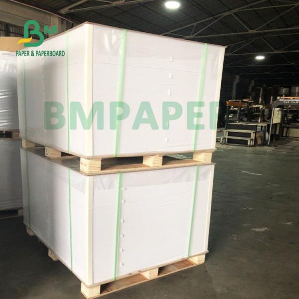 200g + 20g PE Cup Base Paper Folding Resistance Water Resistance
