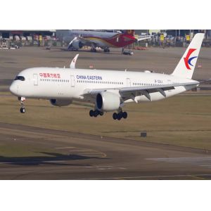 DDU DDP American Special Line Shipping International Air Freight Delivery