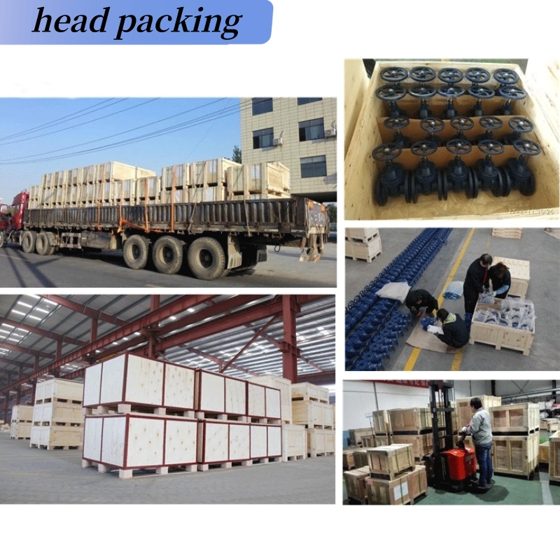 Low Temperature Water Media Casting Stainless Steel Globe Valves with Bellows Seal