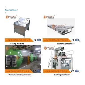Automatic Dried Preserved Pineapple Processing Line Stable High Efficiency