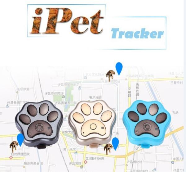 Cheap Small gps cat tracker/anti gps tracker device with pet tracking Reachfar RF-V30 for sale