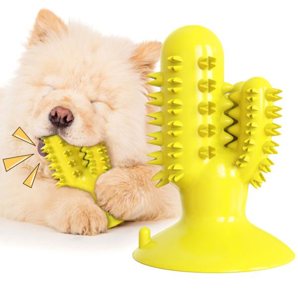 Cheap Cactus Shape Interactive Pet Toys Molar Teeth Dog Dental Chew Toy TPR 125g for sale