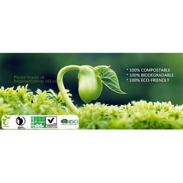 en13432 corn starch based wholesale biodegradable 100% compostable bags on roll,Cornstarch 100% Biodegradable Compostabl