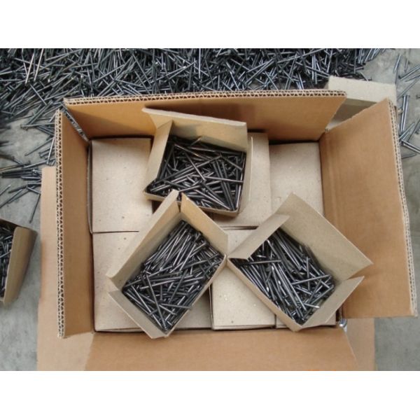 Smooth Shank Common Wire Nails 2-4 Inch Round Head for Construction