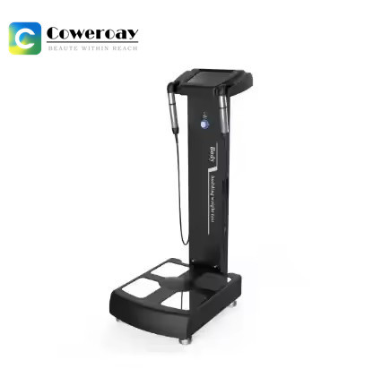Quality Scale Body Fat Analyzer Machine 3D Body Composition Analysis Machine wholesale