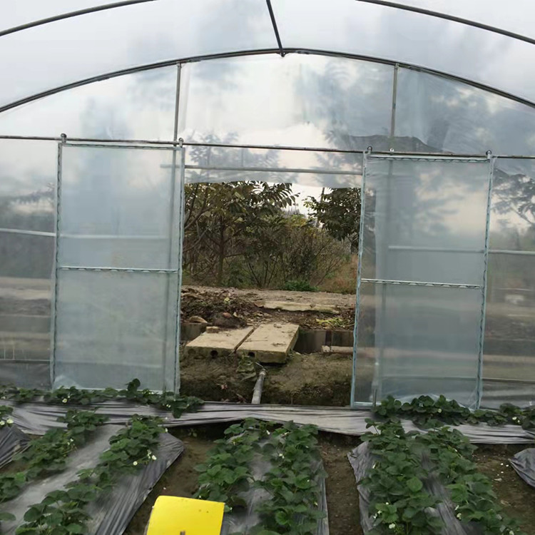 Customized Tunnel Cover Reinforced Clear Greenhouse Plastic Sheeting