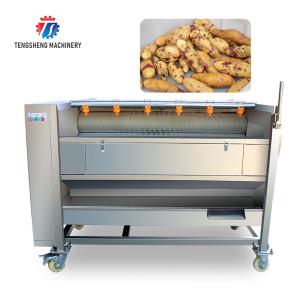 Quality Potato Carrot Brush Cleaning And Peeling Machine 1200-1500KG/H wholesale