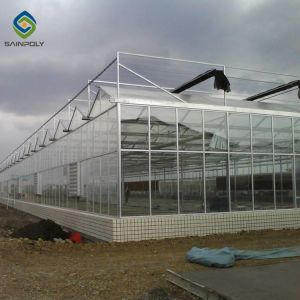 Quality Multi Span Polycarbonate Aluminium Greenhouse Agricultural Planting wholesale