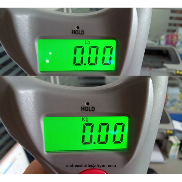 ABS Plastic Fishing Weight Scale 10g Division With Over Load Indication