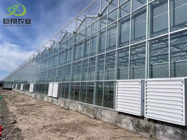 Temperature-Controlled Planting Facility by Juxiang and Affordable Planting