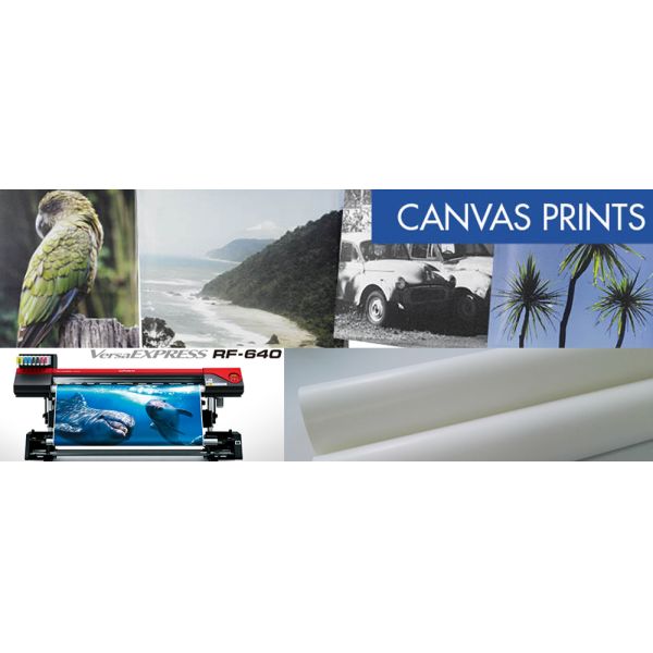 Glossy Polyester Artist Canvas Roll , Inkjet Printable Canvas Paper 30Meters
