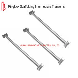 Quality M48 Type Scaffolding Ringlock System Intermediate Transom O Type 48.3mm OD wholesale