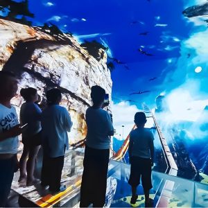 Quality Customization Multimedia 5 Fold Large Screen Holographic Hanging Glass Cinema wholesale