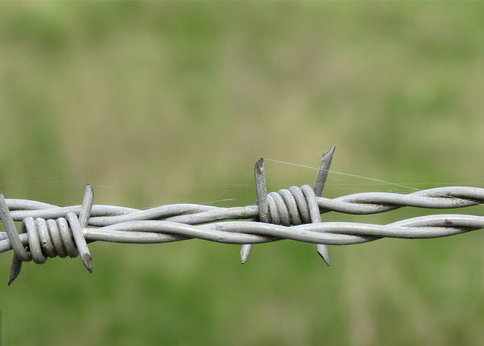 Use Of Prison Walls Double Twisted Hot Dipped Galvanized Barbed Wire Coils