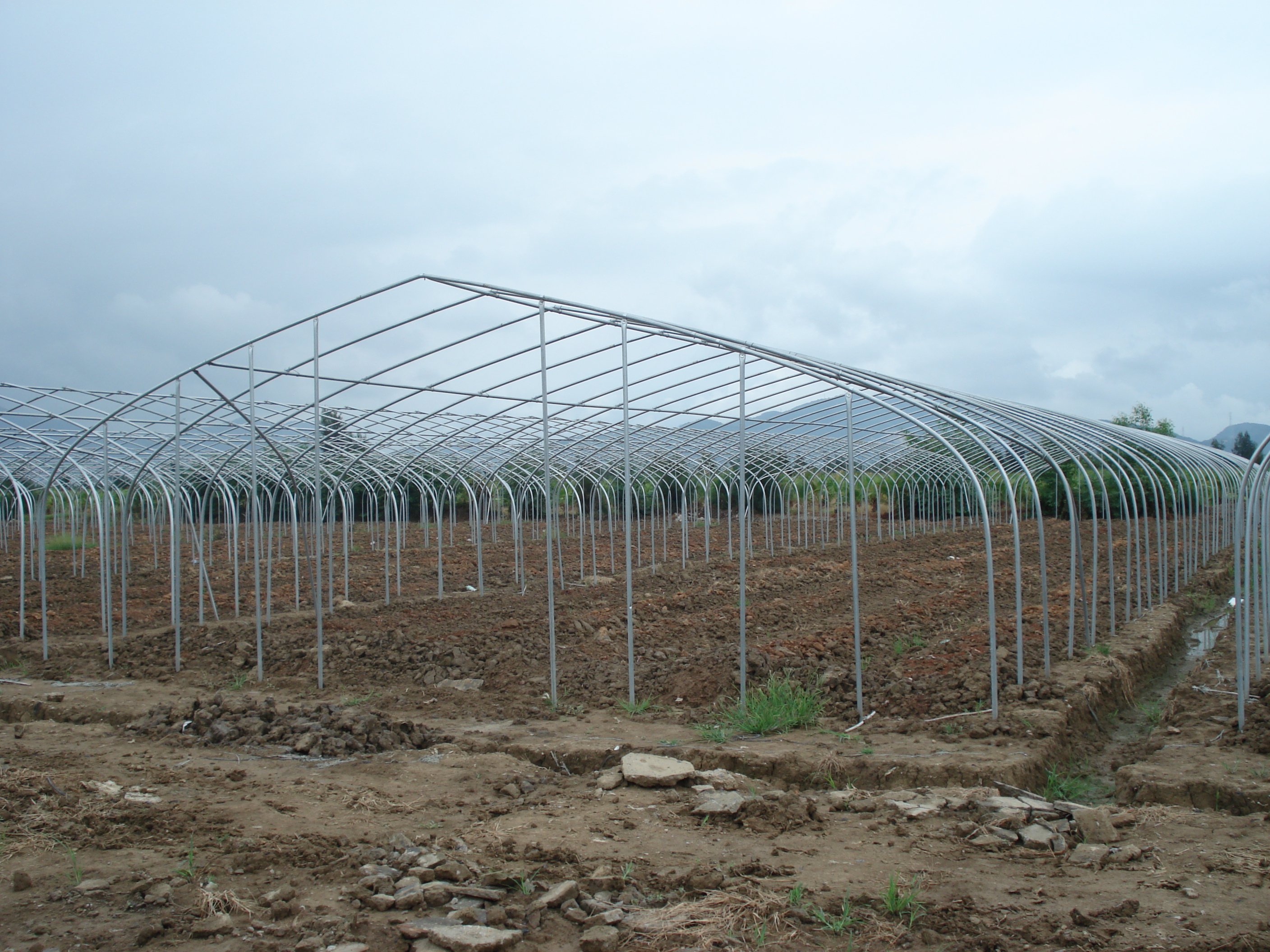 Single Layer Plastic Film Greenhouse Versatile For Agricultural Applications