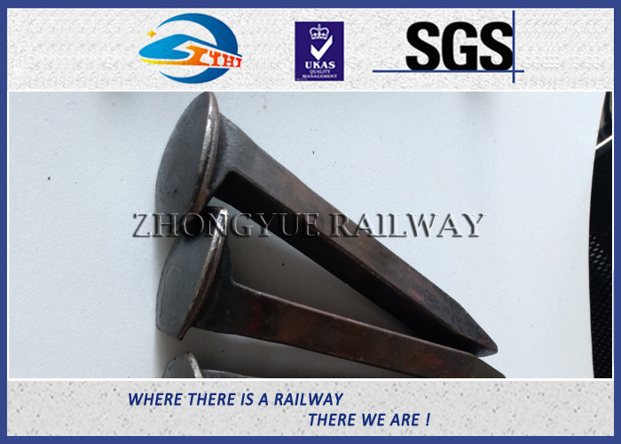 Black Oxide Customized Dog Spikes With ISO Certificate 4.6# Material