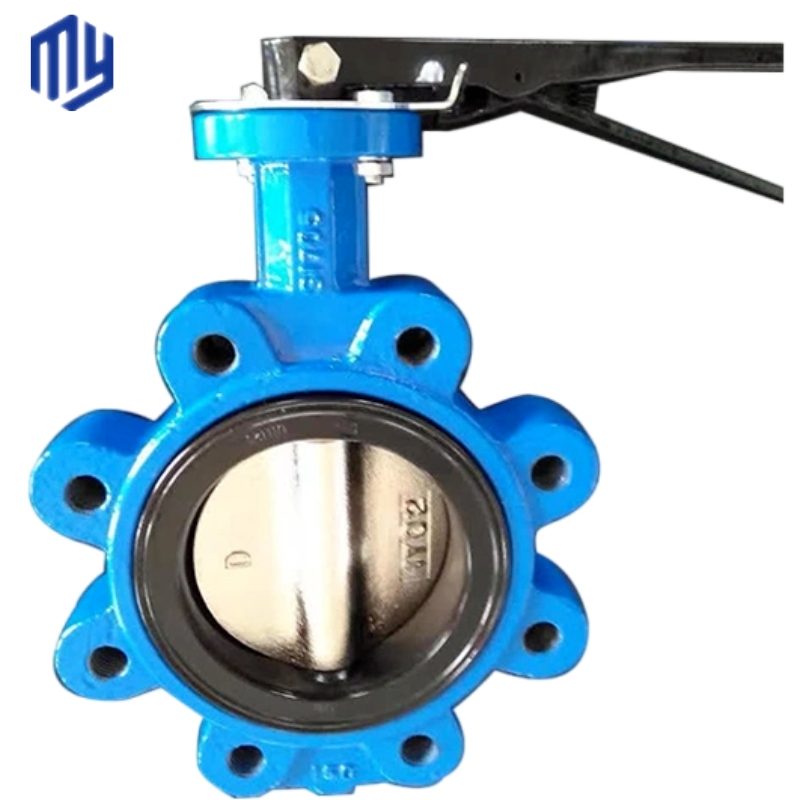 Diaphragm Structure Awwa C504 Cast Iron Lug Type Butterfly Valve for OBM Customization