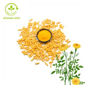 China The Feed Grade Xanthophyll Lutein 4% CAS 127-40-2 Marigold Lutein Extract on sale