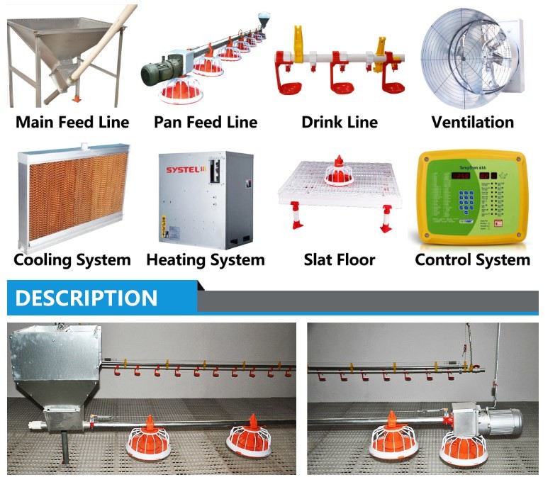 Complete Auto Broiler Poultry Farm System For Chicken Water