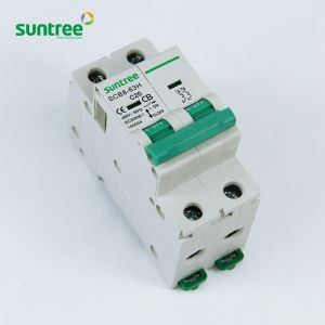 Quality MCB 2P 10kA Mini SCB8-63H AC Circuit Breakers wholesale