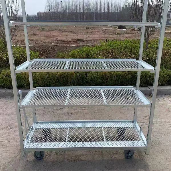 Quality Hot Dip Galvanizing PP Caster Greenhouse Harvest Trolley 1350*565mm wholesale