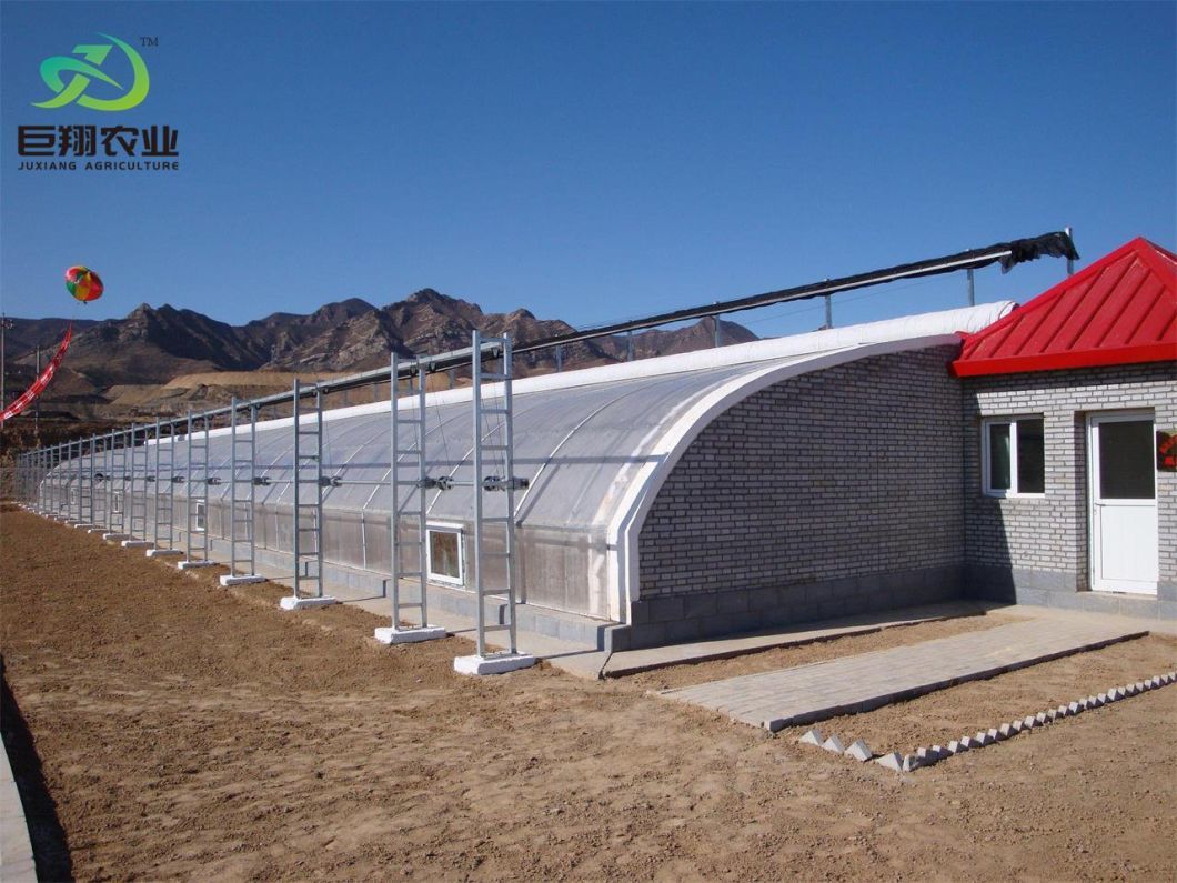 Planting Drip Irrigation Sunlight Greenhouse