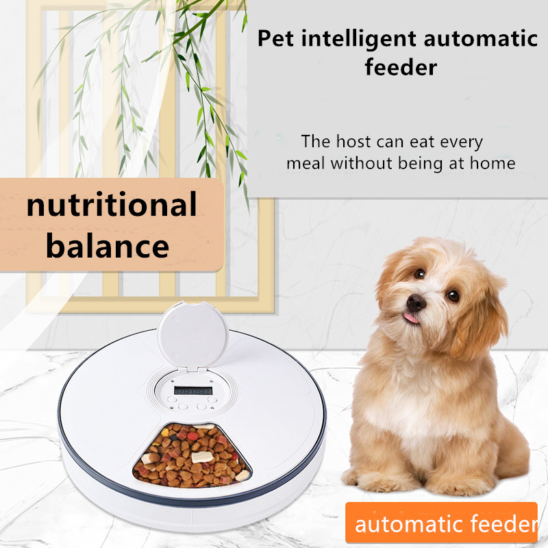 Electronic Timed Pet Feeder Water Food For Long Eared Dogs