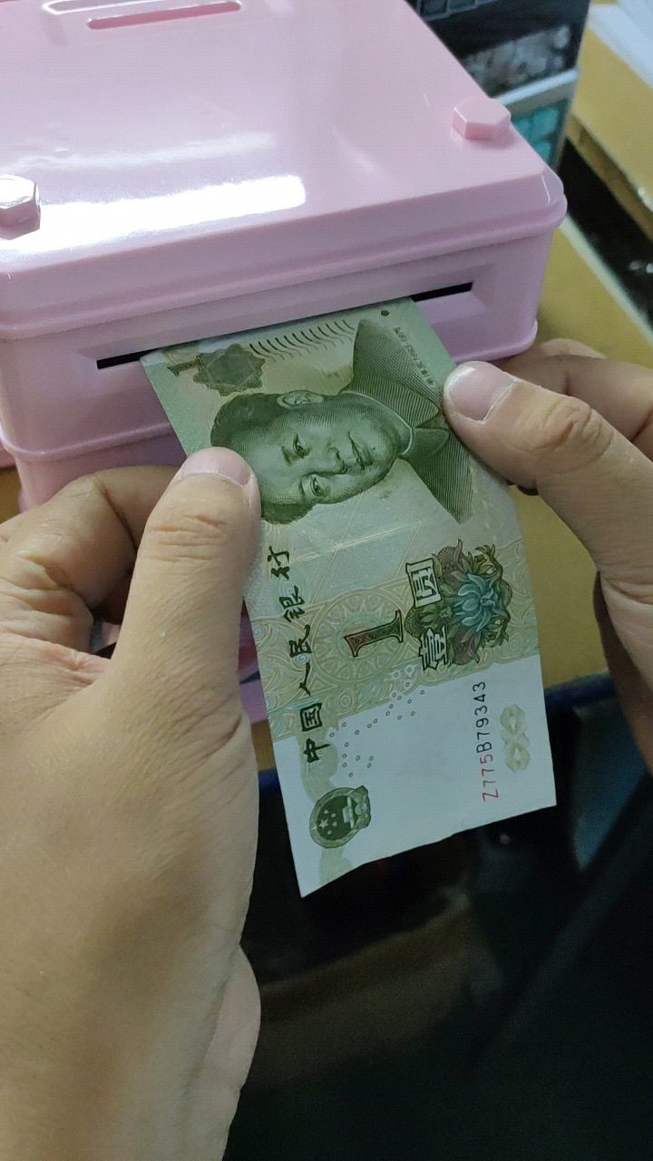2 color Password Piggy Bank