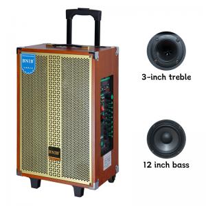 China 12V / 4.5Ah Rechargeable Portable Trolley Speaker Bluetooth 4.2 Trolley Box Speaker on sale