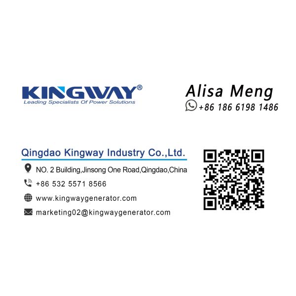 wholesaler Top Quality Different Power Tester Load Bank Manufacture Diesel Generator Tester