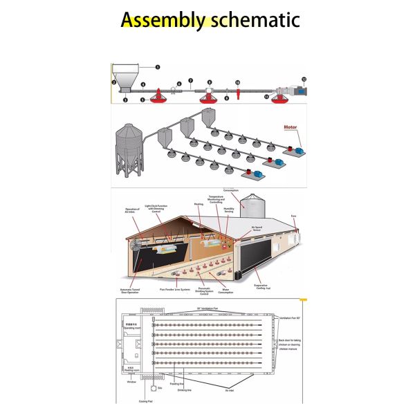 HX Poultry House Feed Pans PP Broiler Poultry Equipment Fully Automatic