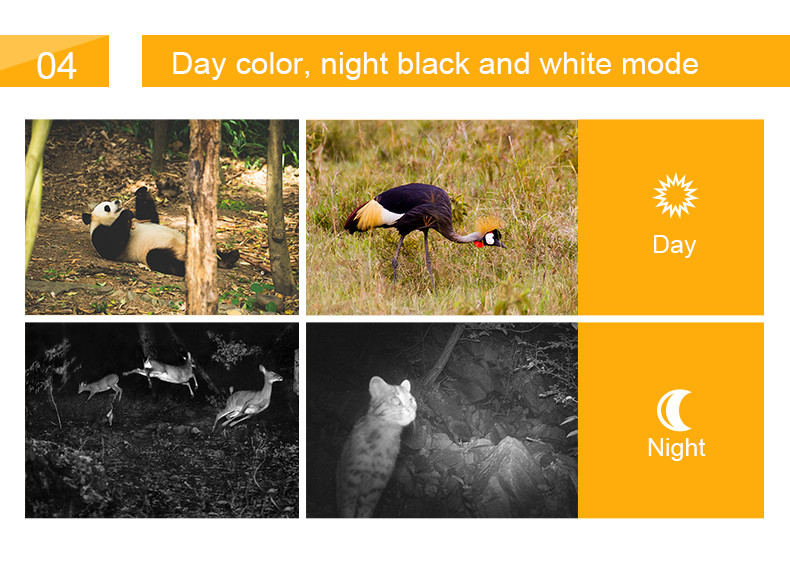 20mp Hunting Game Camera 1.5 Inch LCD Motion Activated 1080p Trail Camera