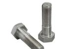 Wear Resistance Pure 10.2g/Cm3 Molybdenum Screw