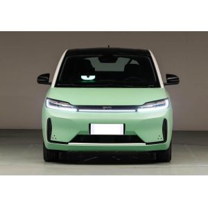 Quality Hatchback Electric D1 BYD EV Car 418km LFP Battery wholesale