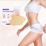 5 Pcs Korea Women Cosmetics Mymi Wonder Patch Belly Wing Abdomen Treatment