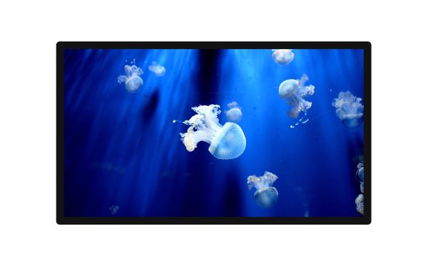 Cheap 55 Inch LCD LED TFT Wall Mounted Advertising Screen 1080P Resolution for sale