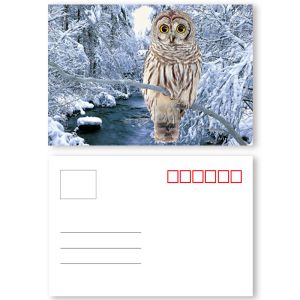 Vivid Plant Two Sides Printing 3D Lenticular Card Plant Introduction