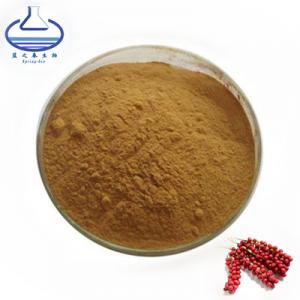 China Herbal Schisandra Extract Powder Schisandrae Chinensis Extract on sale